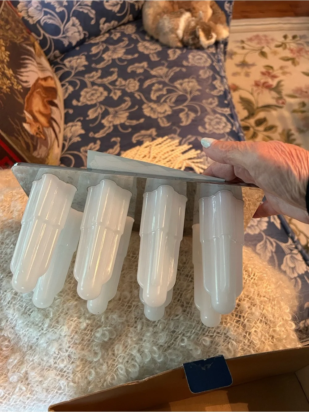 Williams-Sonoma Blue and Cream Space Pop Molds Box